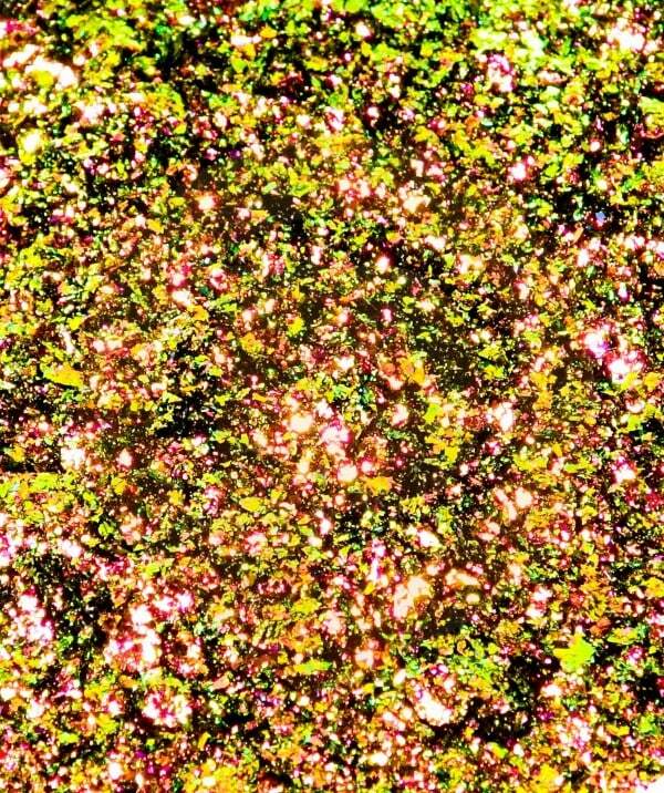 ULTRASHIFT CHAMELEON FLAKE - GEMINI