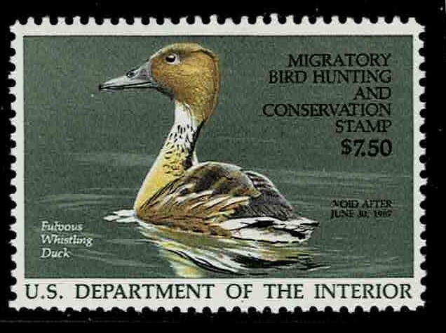 Single   Face Value Duck Stamps RW 53