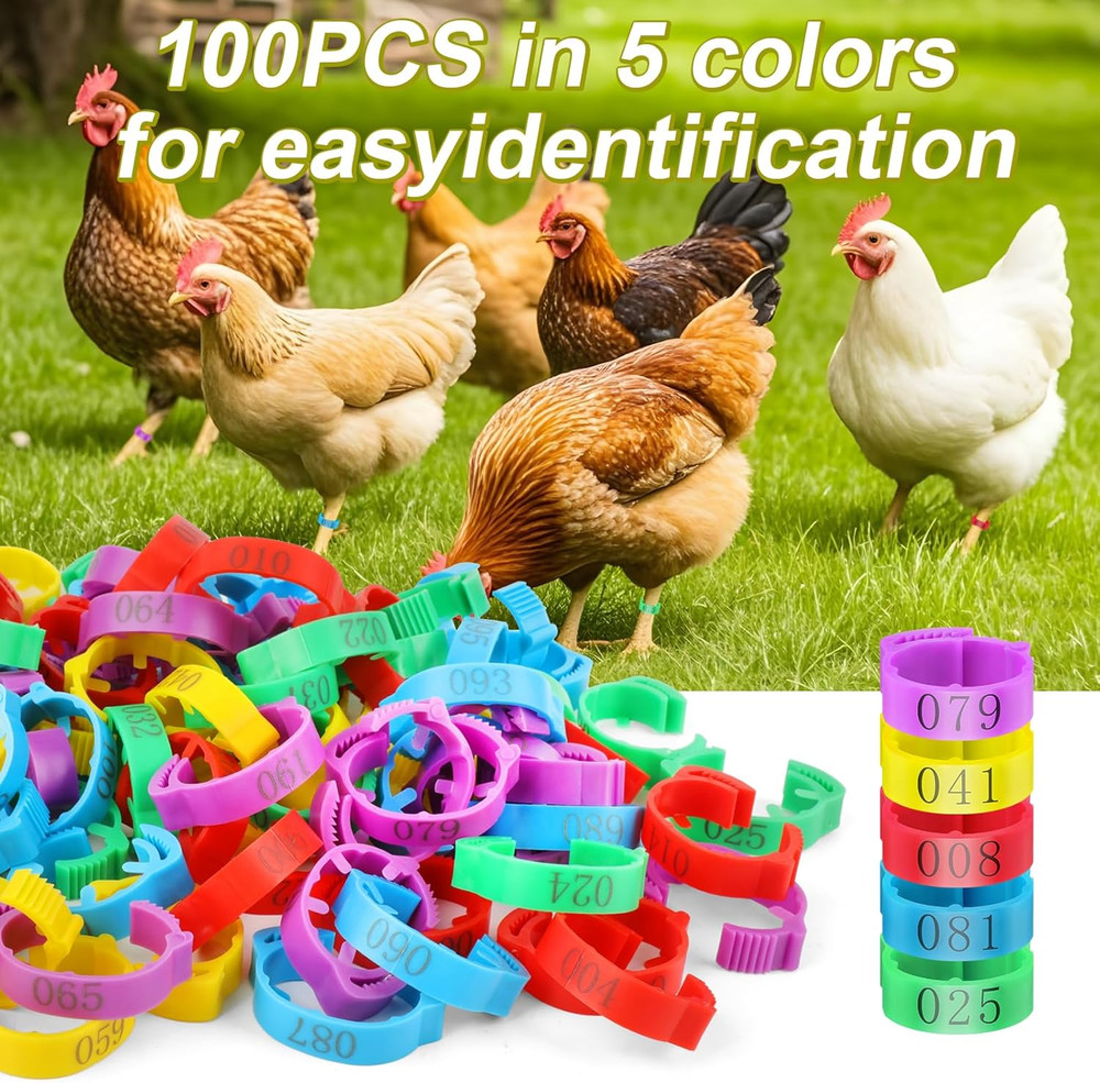 100 Pcs Adjustable Chicken Leg Rings, Multicolor Numbered Chicken Identification