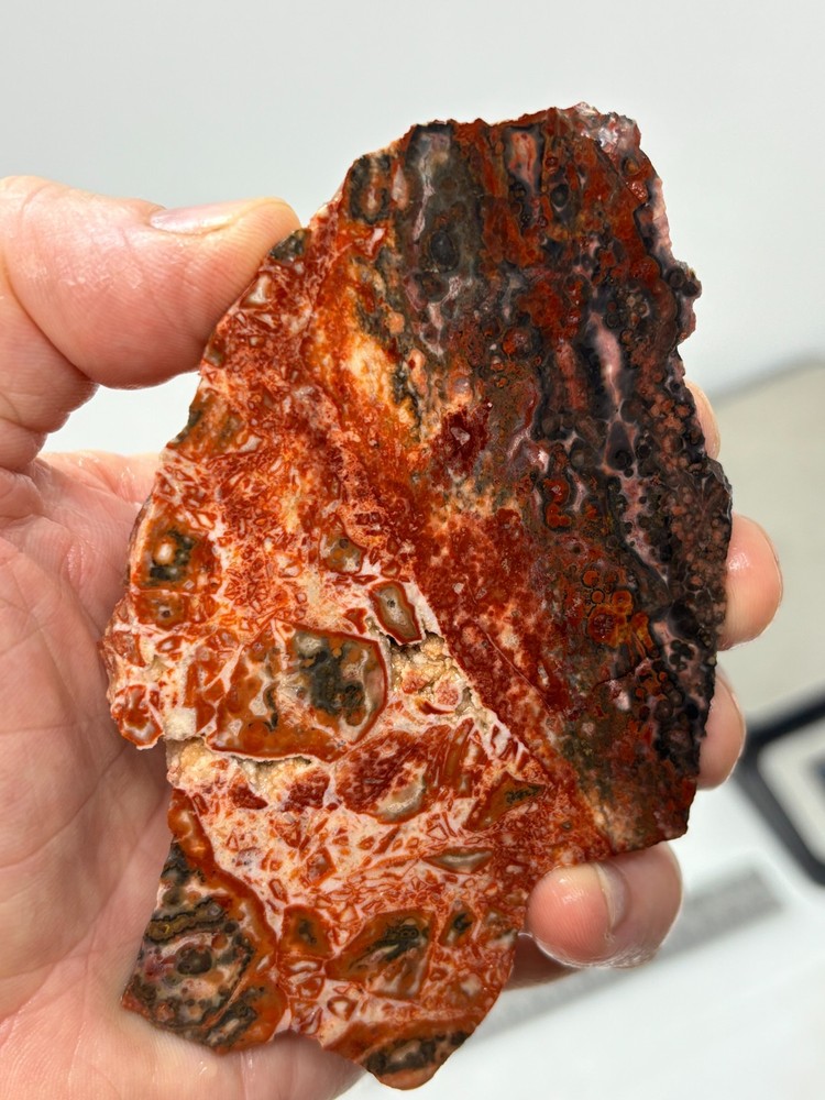 Orbicular Leopard Skin Jasper Slab Lapidary Cabbing Combo Ship Avail