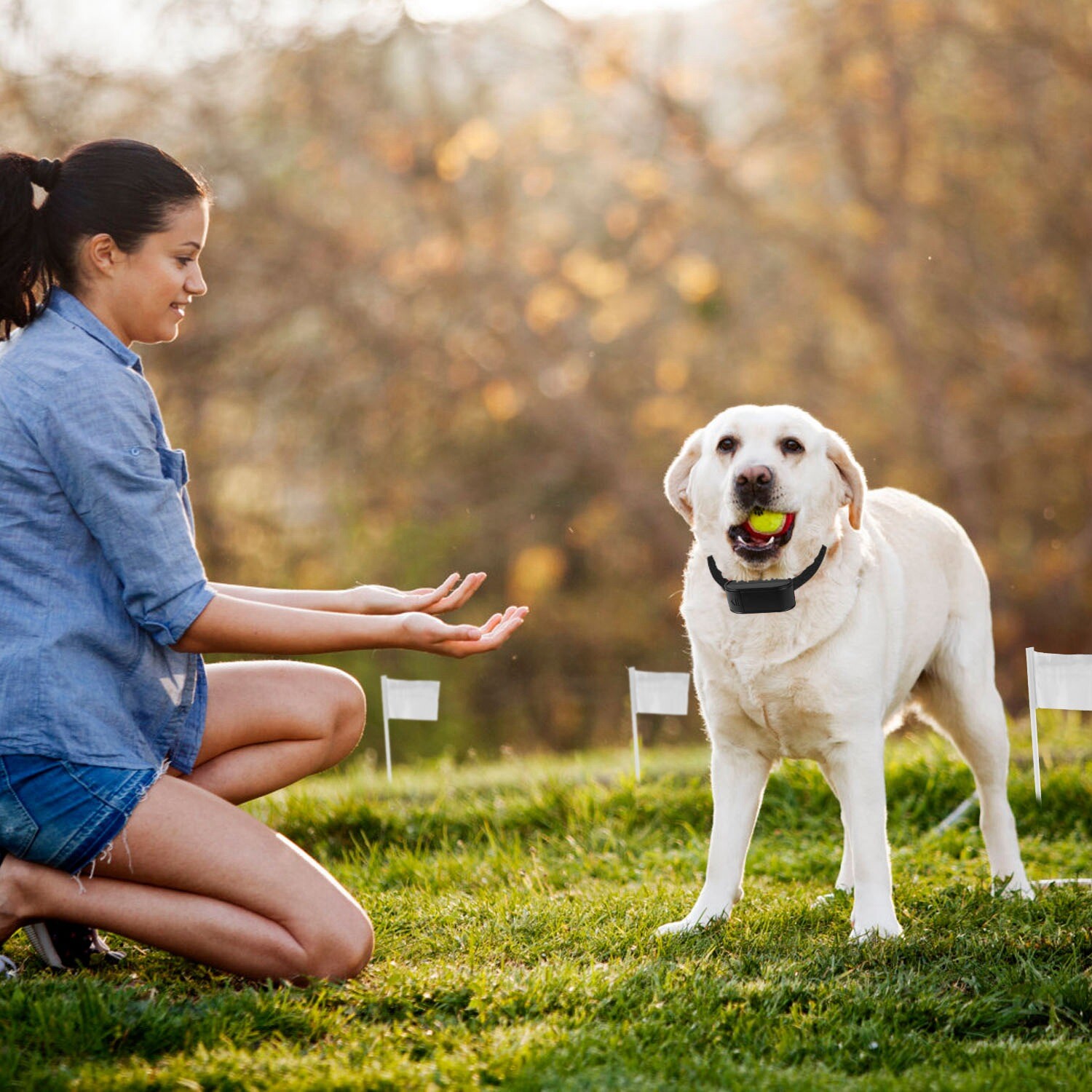 Wireless Electric Dog Fence Pet Containment System Shock Collar For 1/2/3 Dogs