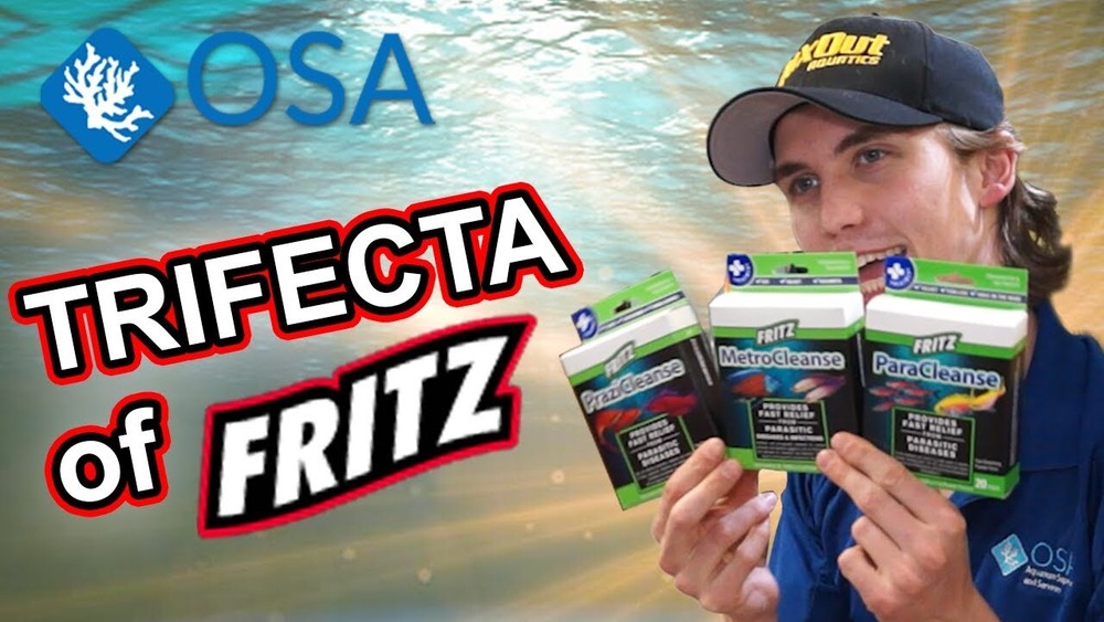 Fritz MetroCleanse