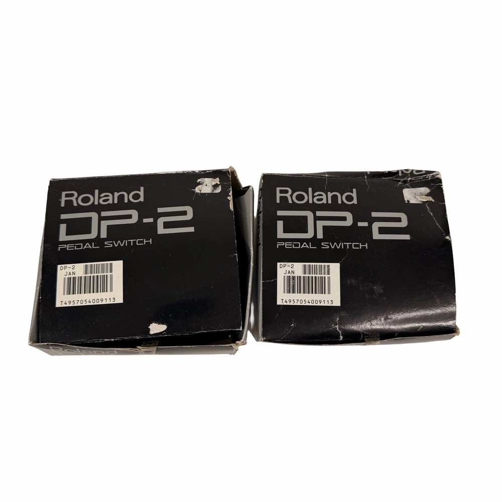 Roland Pedal Switch DP-2 New Open Box