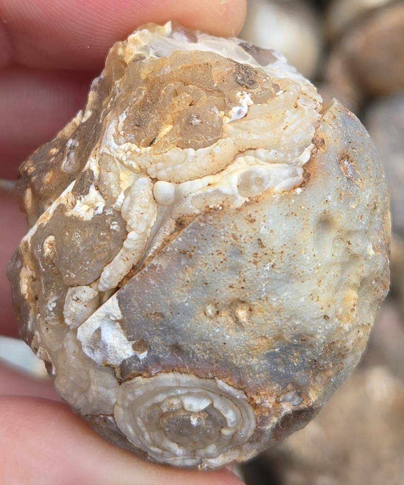 Oco Agate Geodes Whole - Mine Run Rough - 1 Pound Lb - Mostly Solid Agate