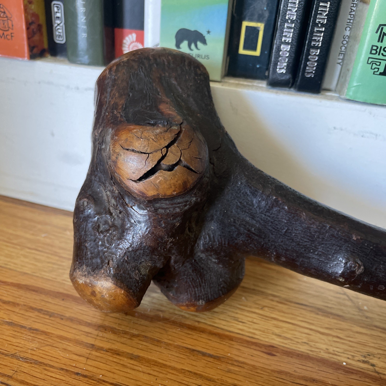 Native American Indian Burl Wood War Club Antique Rare 19” Artifact Weapon