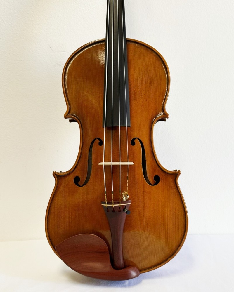 VIOLA 16" SIZE, PROFESSIONAL SETUP + DOMINANT STRINGS + AUBERT BRIDGE +CASE+BOW