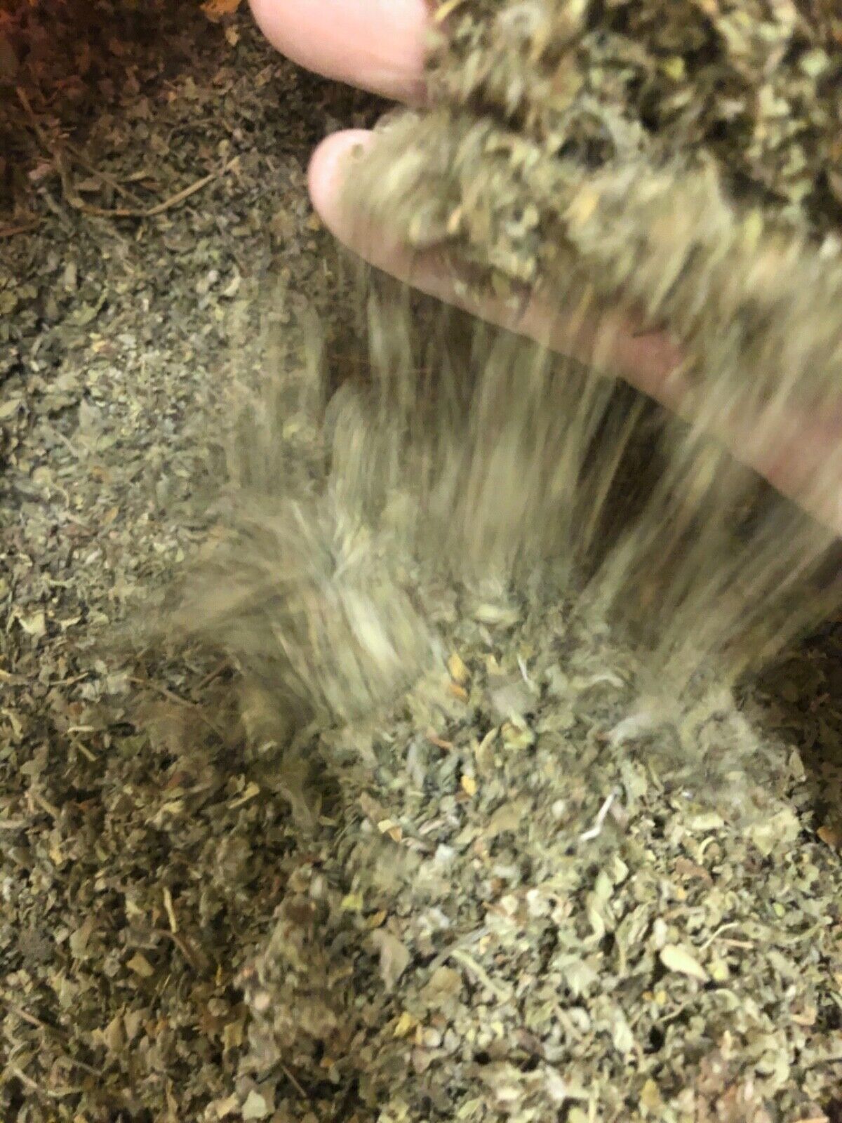 Organic Marshmallow Herb Bulk Wholesale QUALITY Leaf 1 2 5 10 15 25 50 75 100 lb