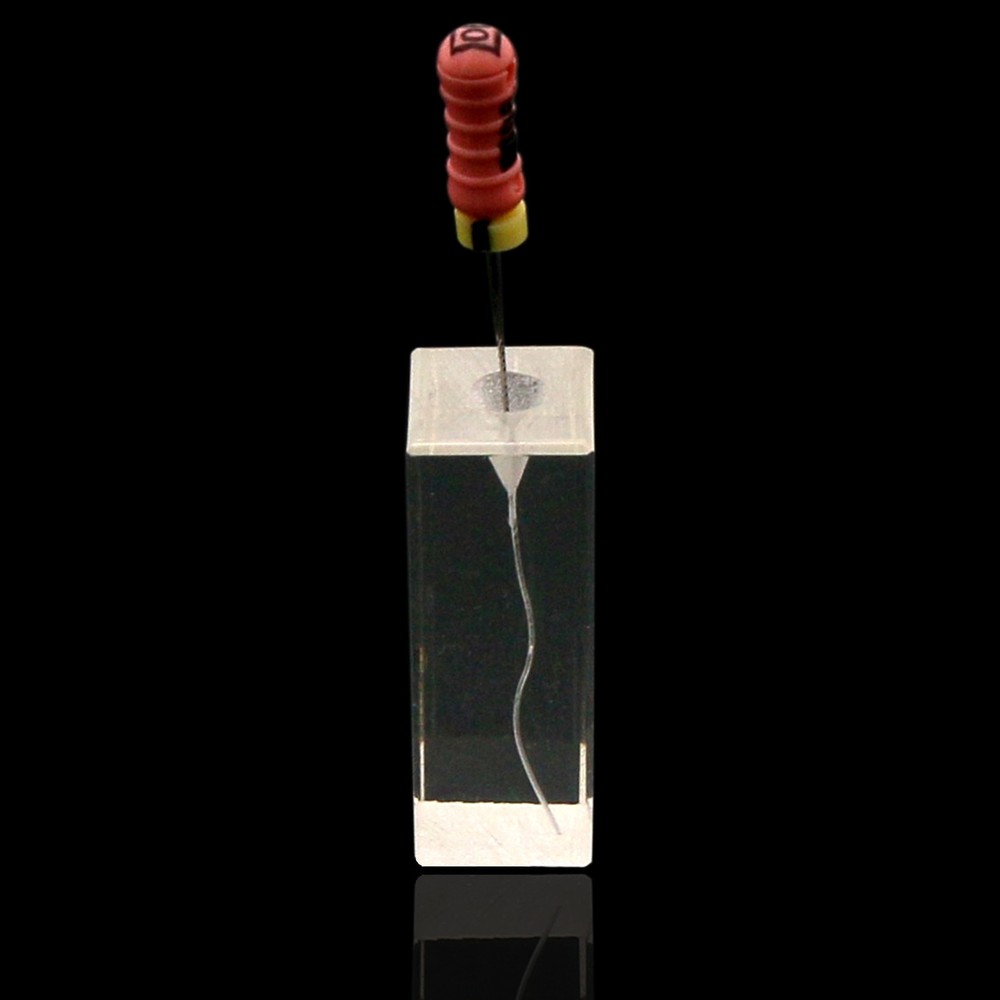 39 Sizes Dental Root Canal Teeth Study Model Practice Endo Rotary Files Study