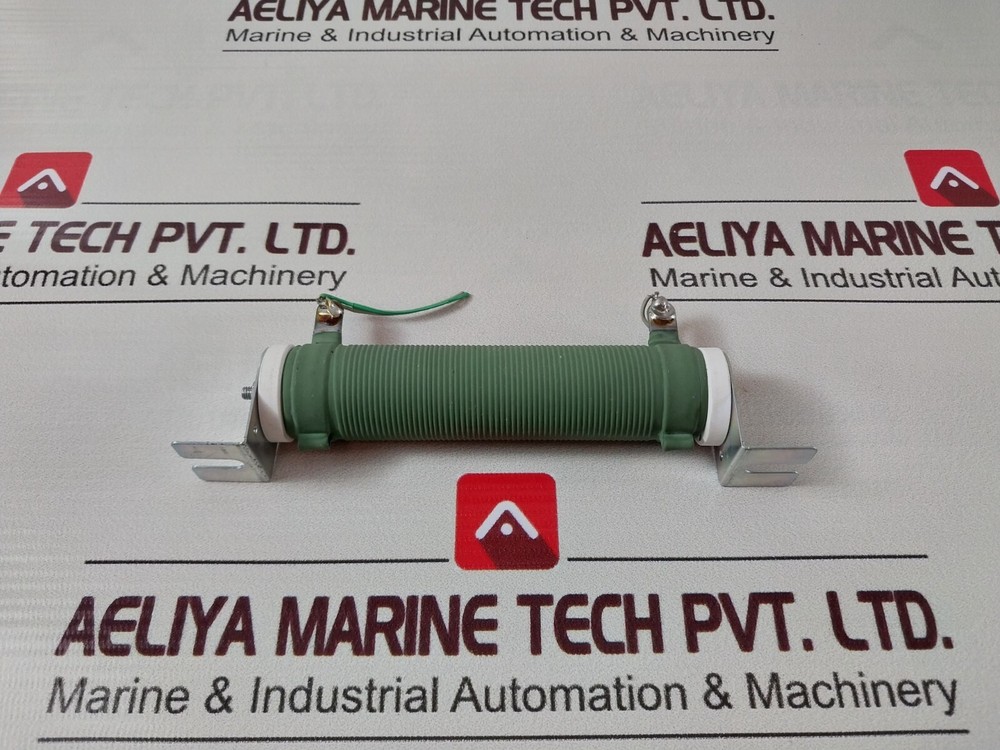 Jrm GH80W Resistor 100J