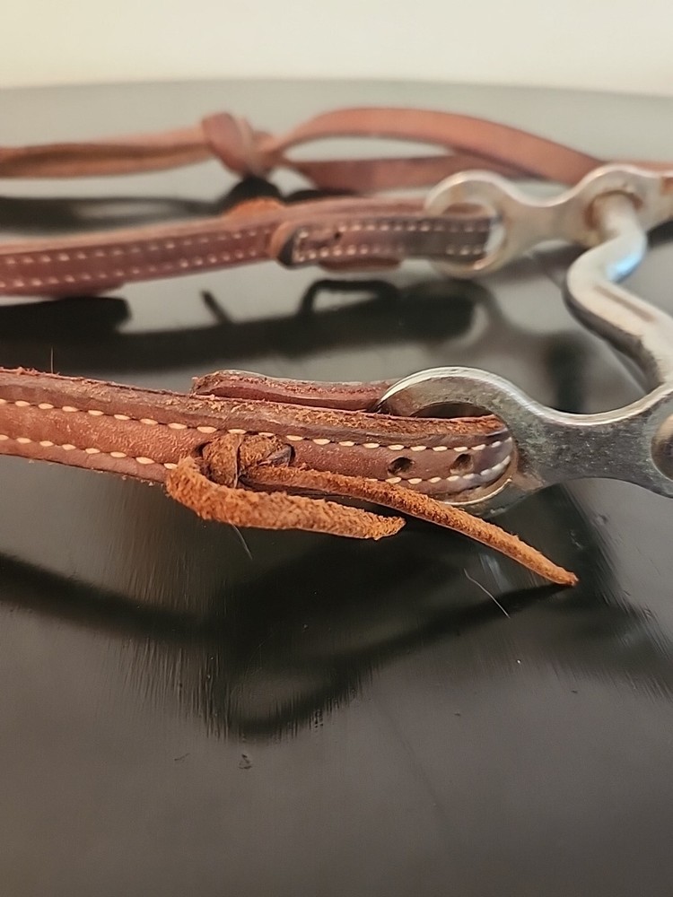 Horse Bit and Bridle Set