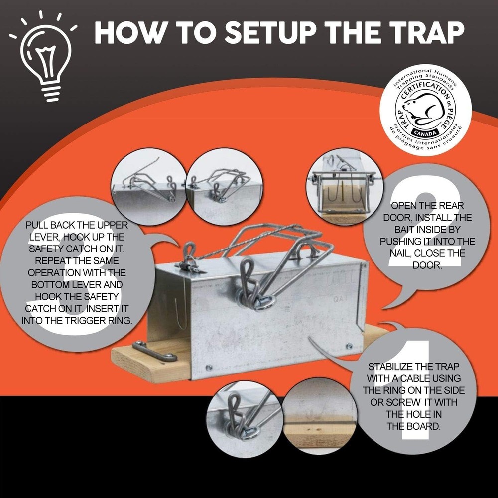 High-Quality Squirrel Trap - Efficient Extermination=