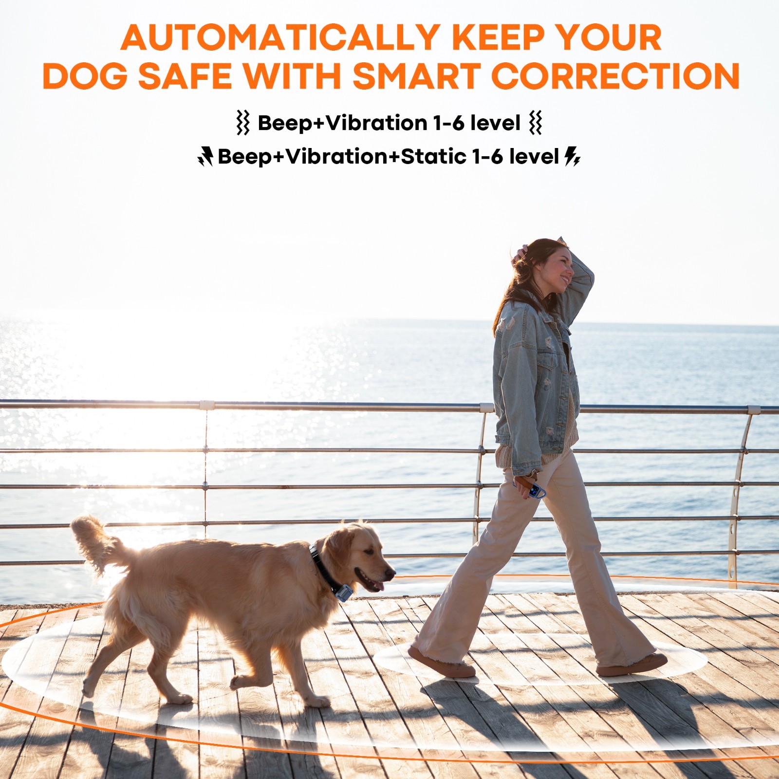 2-Dog Wireless Dog Fence & 1100 YD Remote Training Collar Duo Kit Waterproof