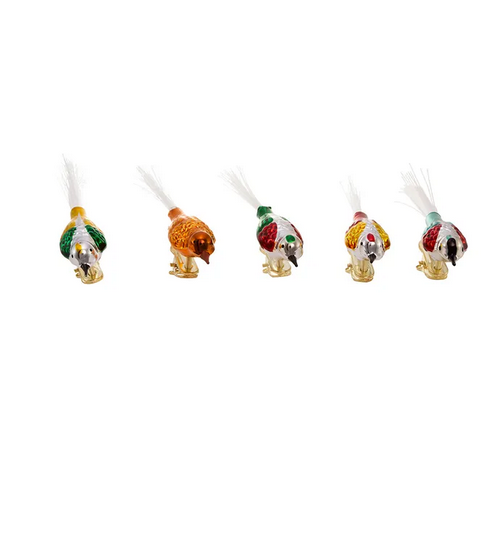 KURT ADLER BOX SET OF 5 EARLY YEARS 4.5" GLASS CLIP-ON BIRD XMAS ORNAMENTS C1929