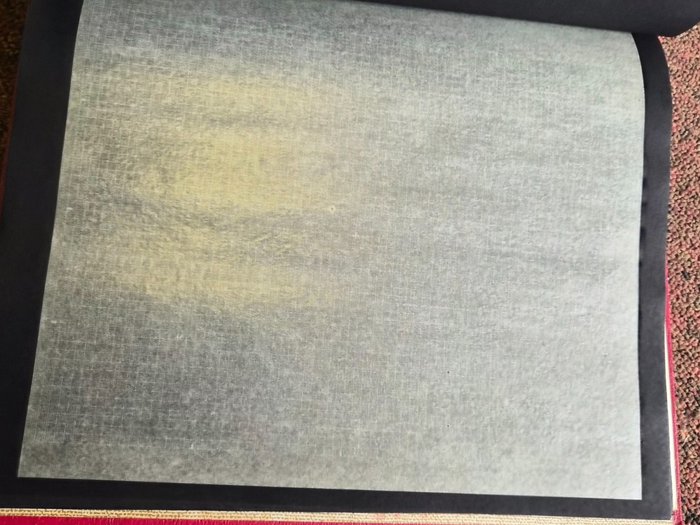 Vintage 1960's Red spring back Stamp Album with black leaves with interleaving