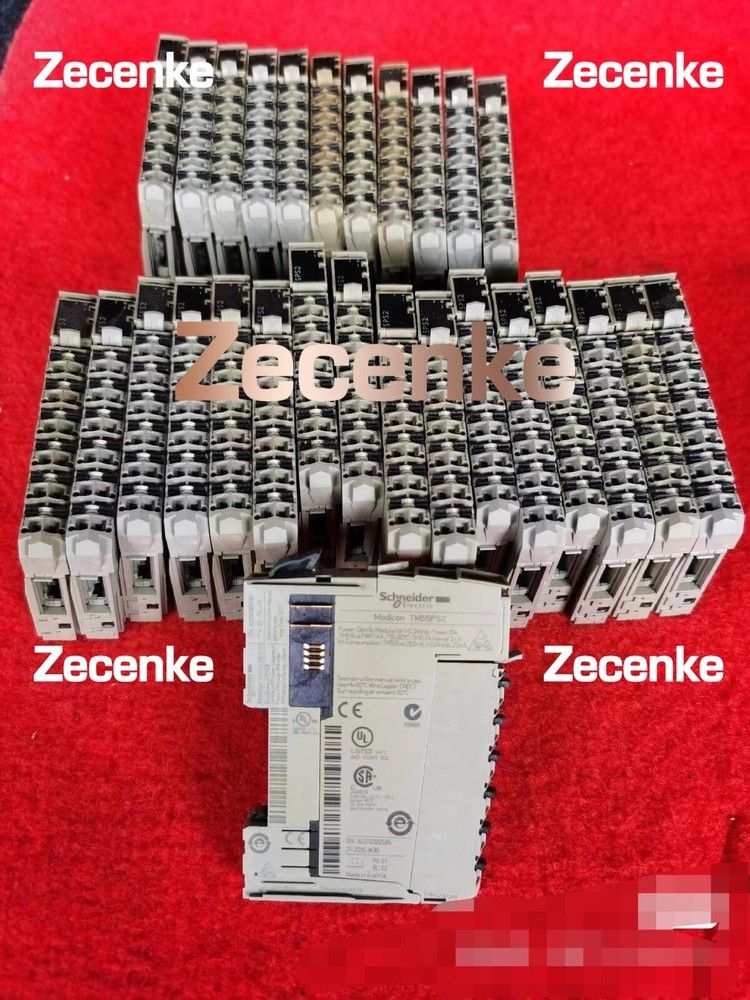 1pc USED TM5SPS2 Module Tested #V4FR CH