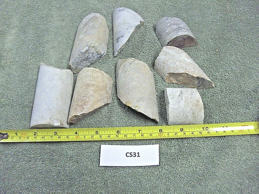 Split Core Samples From Alaska Gold Mine 8 Pieces Drill Core Samples CS31