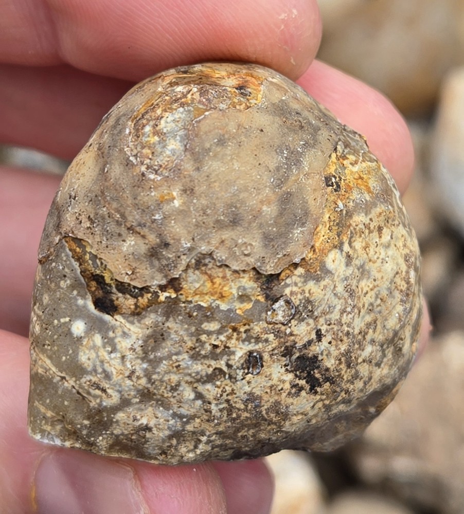 Oco Agate Geodes Whole - Mine Run Rough - 1 Pound Lb - Mostly Solid Agate