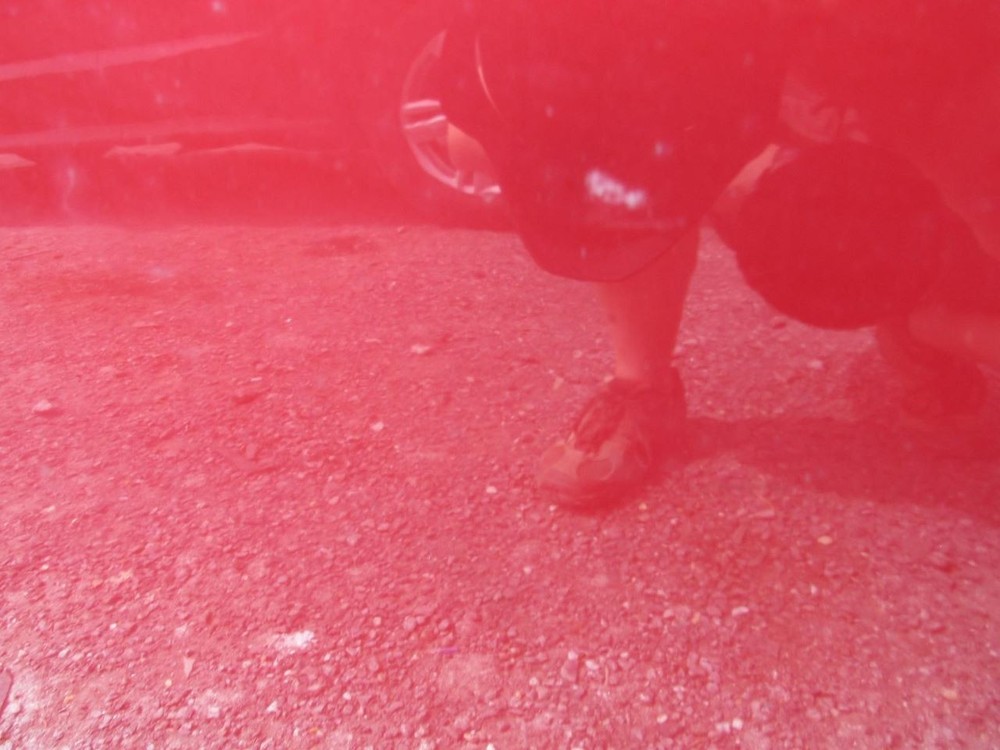 PRIUS 2011 Glove Box 1043138