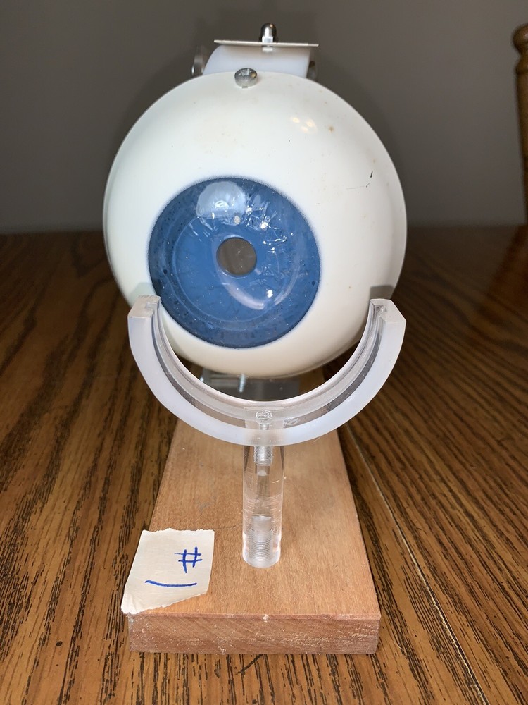 Leno Lab Sweden Functioning Eye Model Educational Tool Optometrist School #1
