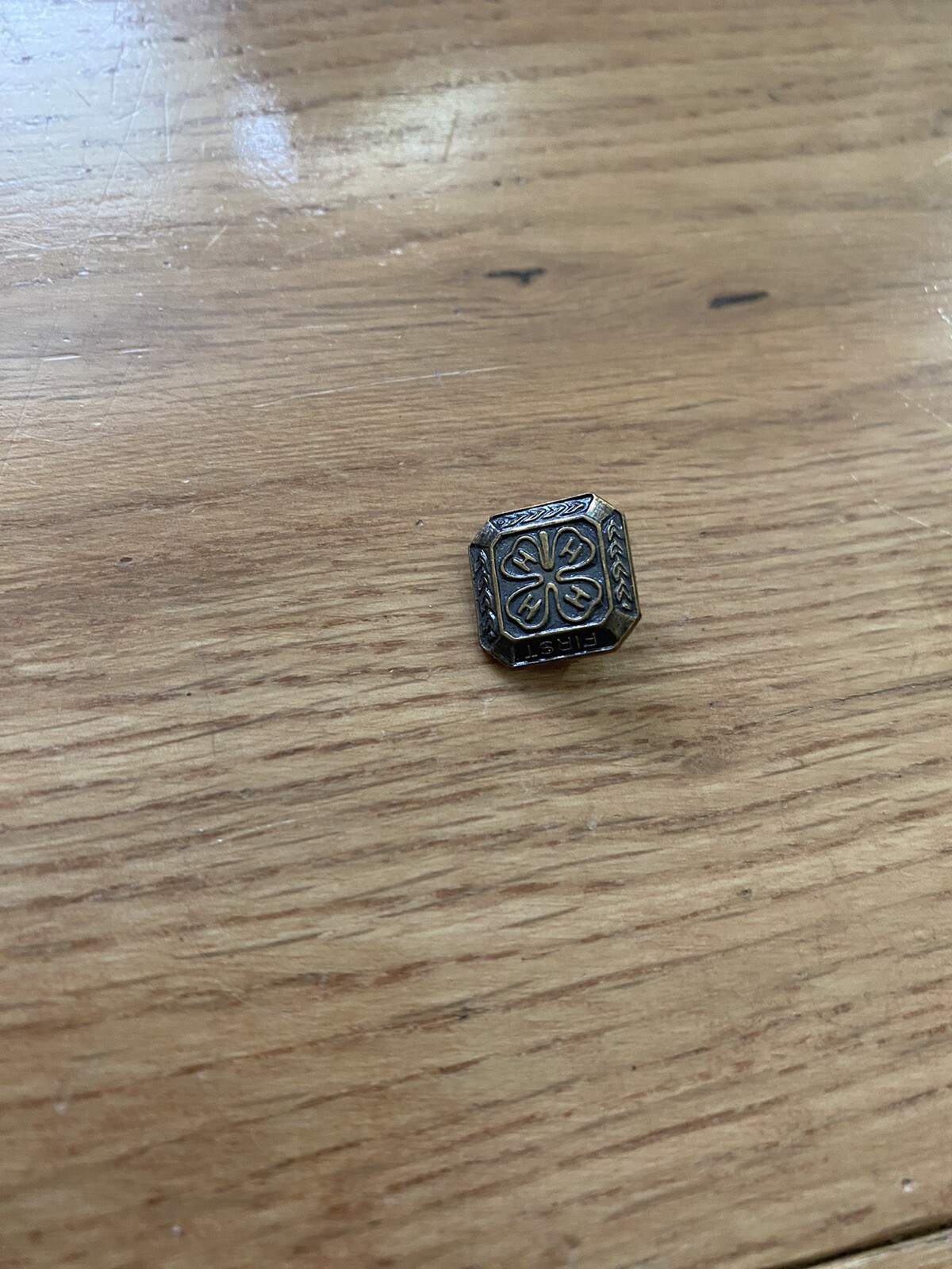 Vintage 4H First Year Award Pin farming agriculture Small