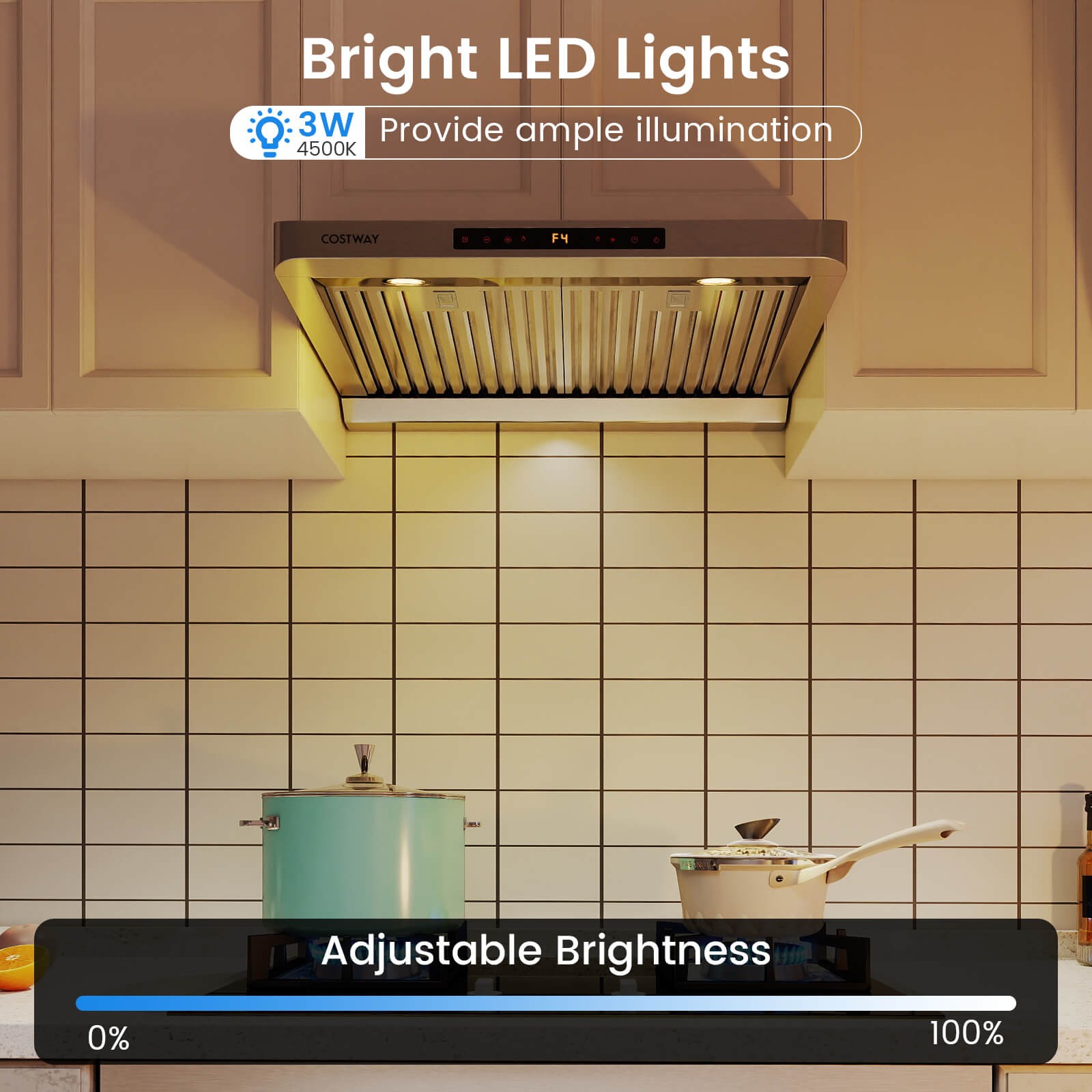 30 Inch 900 CFM Under Cabinet Range Hood w/Oil Collector, 4 Fan Speeds,Timer