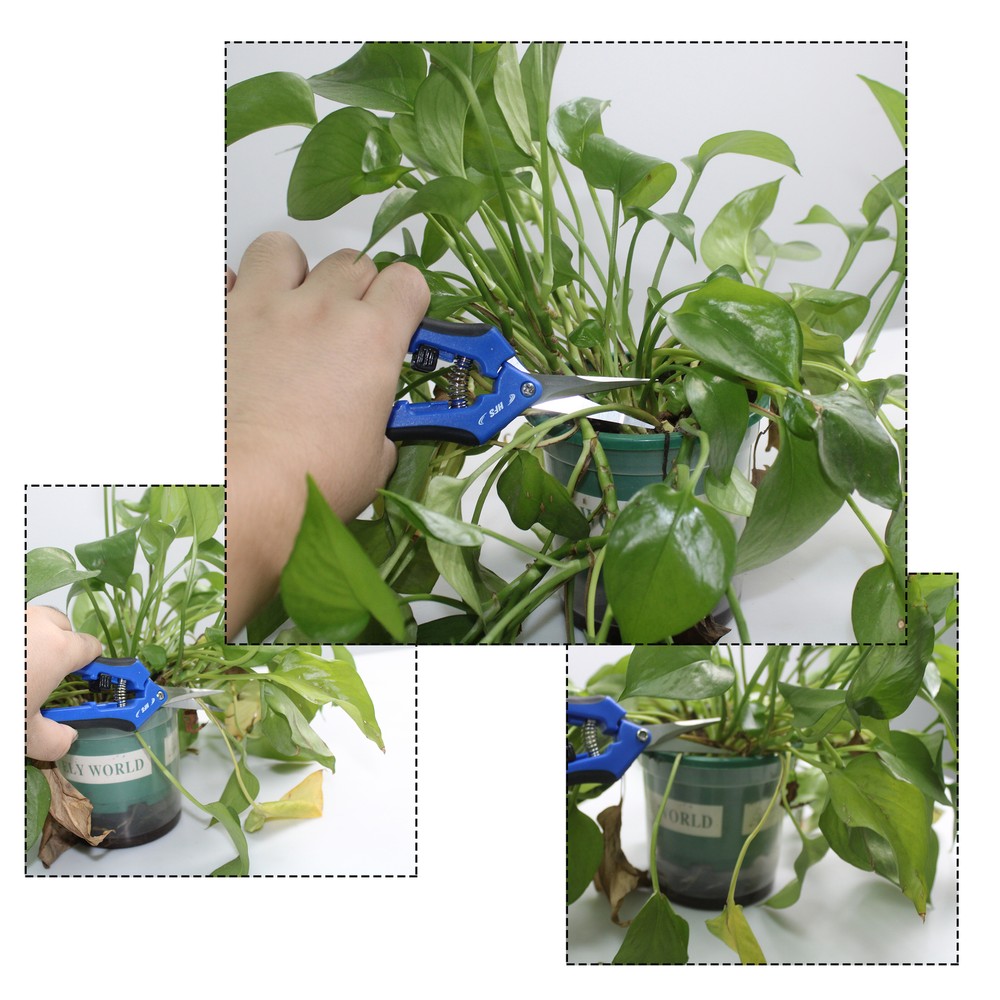 HFS 5PC Softouch Micro-Tip Pruning Snip, Leaf Trimmer, ScissorQuick Pruning Snip