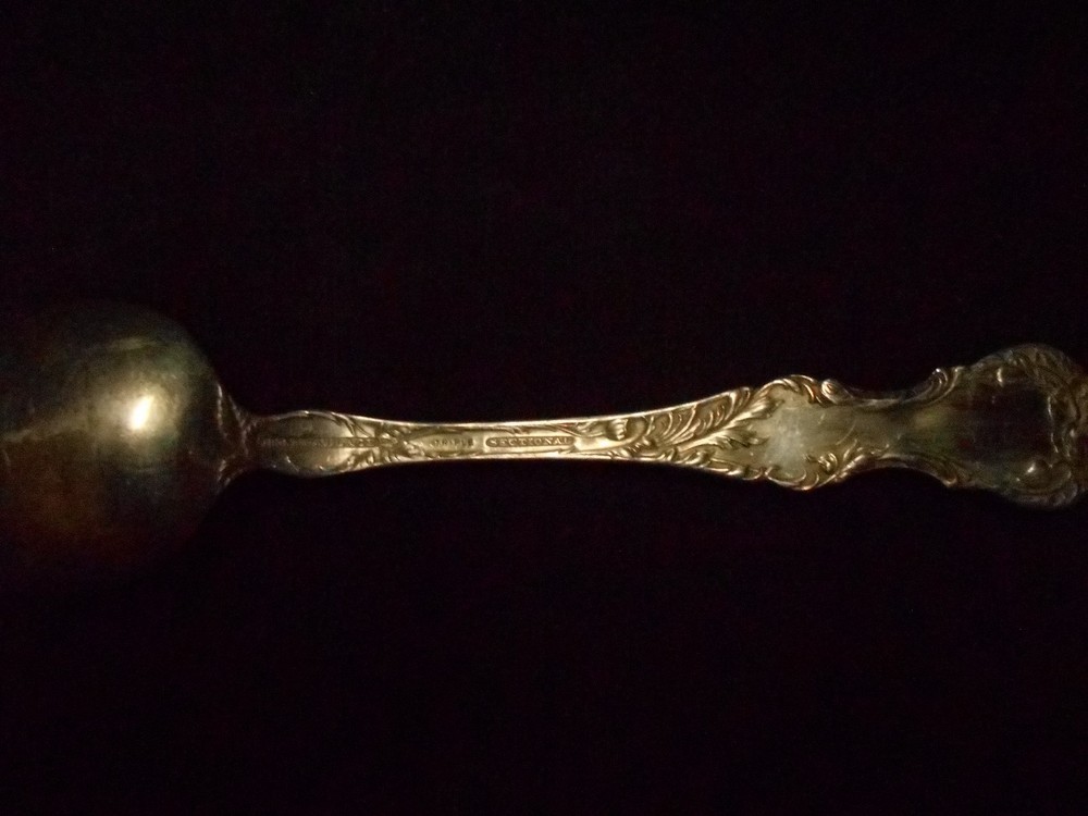 Vintage 1835 R. Wallace Triple Silver Sectional Serving Spoon Floral Pattern
