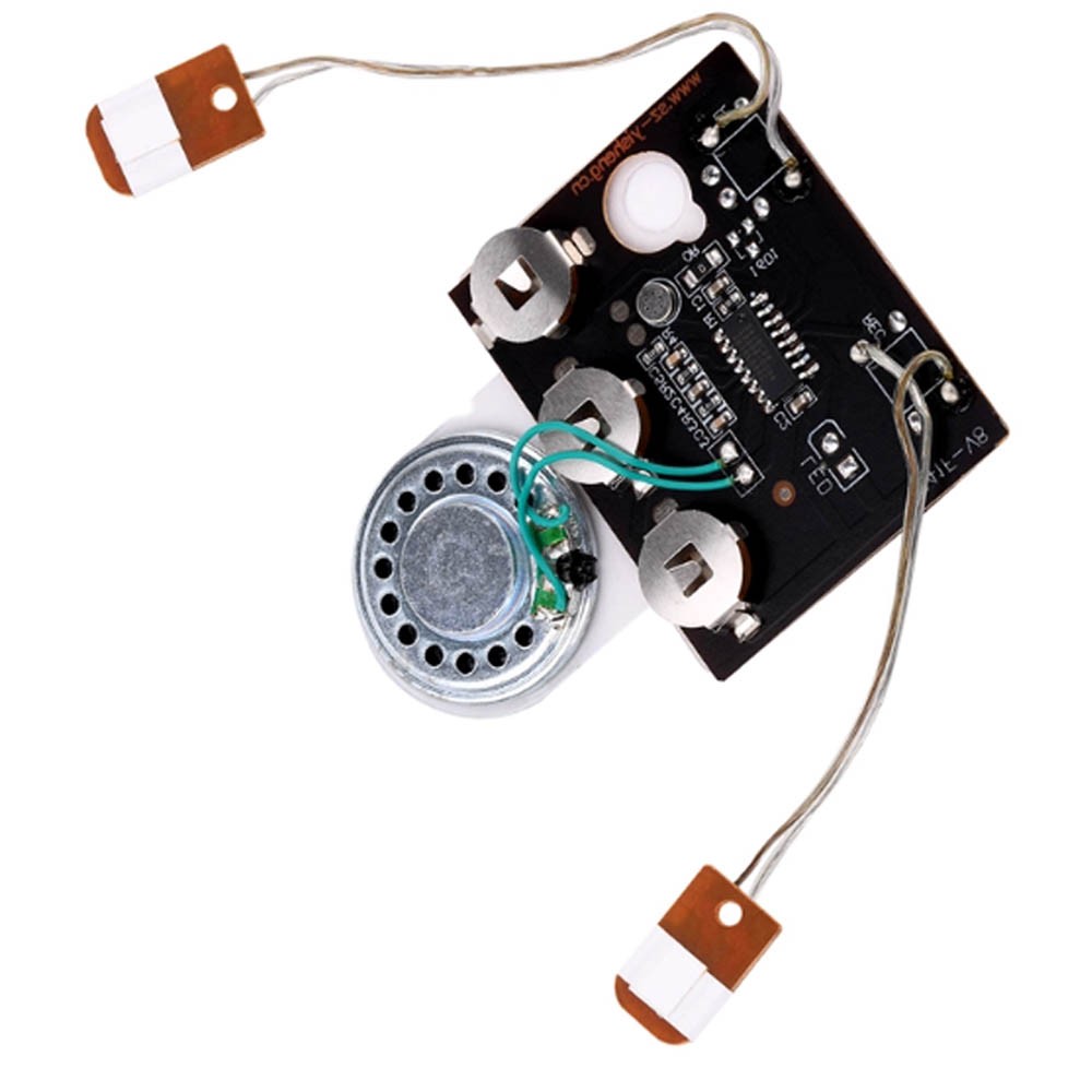 1PC 30s Recordable Voice Chip Sound Module DIY Wired Double Button Control USA