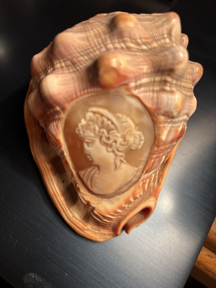 A Conch Shell Carved with A Woman’s Head   Cameo