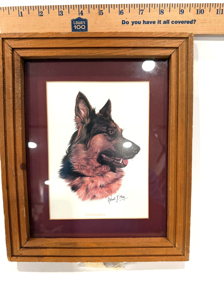 German Shepherd Print by Robert J. May