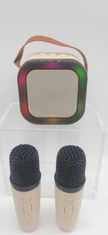 Wireless Mini Karaoke Machine 2 Microphones Bluetooth Speaker Lights