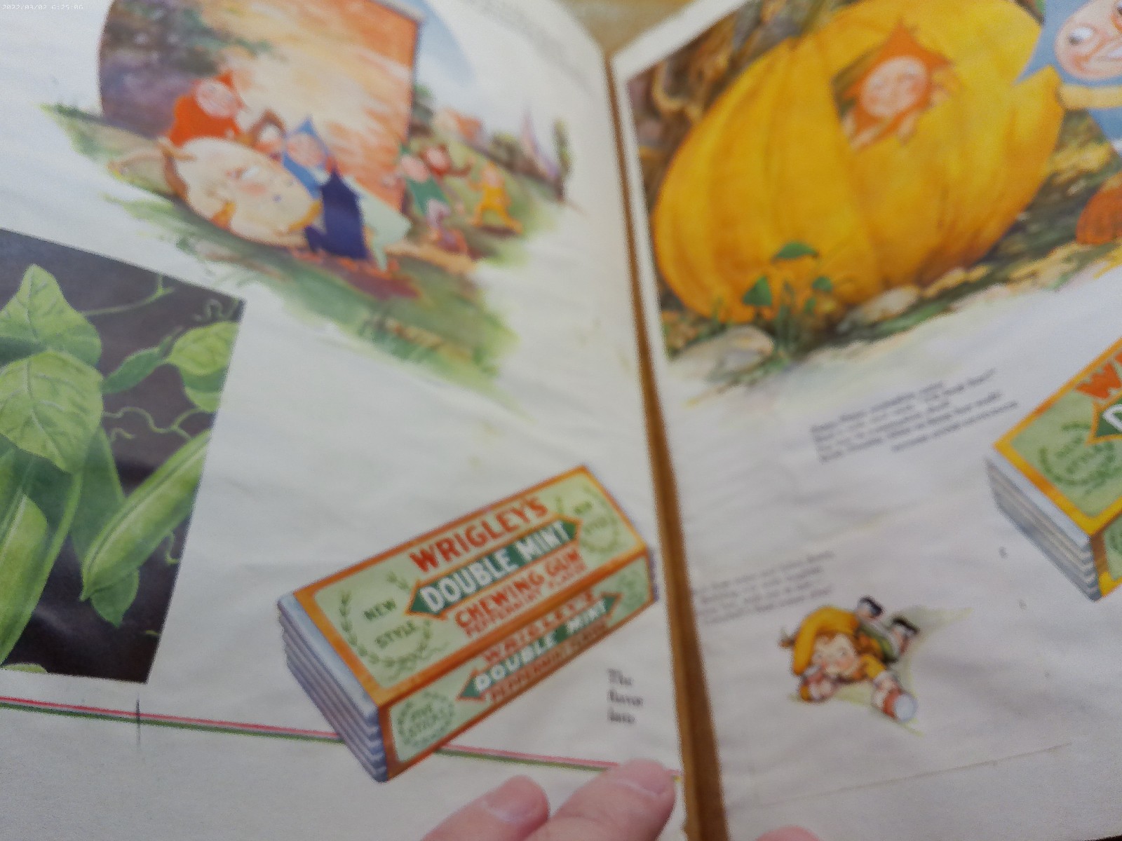 Mother Goose up to date Wrigleys gum ads 1920s era scrapbook filled with ads