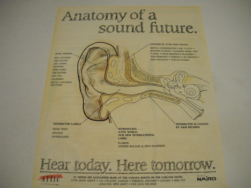 LEE AARON Digital Underground TOM ROBINSON Sybil HAYWIRE 1991 Promo Display Ad