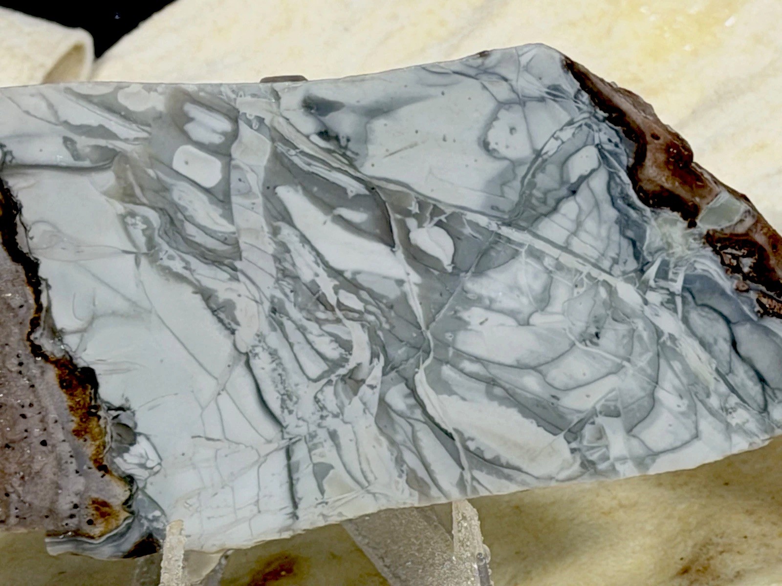 Beautiful Willow Creek Jasper Slab Set, Lot#191