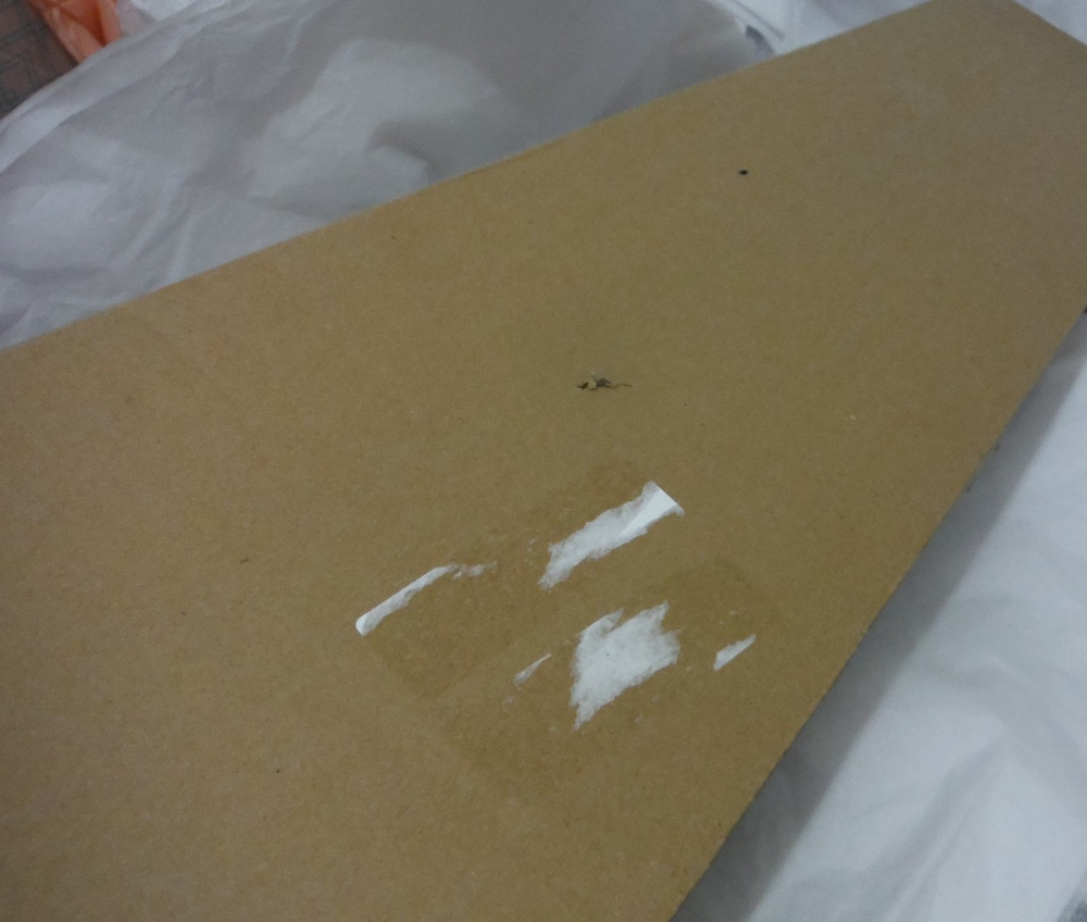 Easter 4/4 Violin NIB