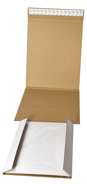 Guardhouse Shield CURRENT Comic Book Flash Mailers