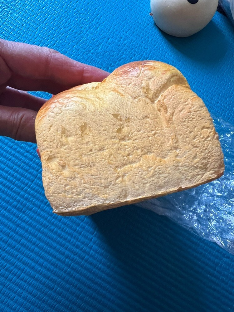 Aoyama Tokyo English Bread Squishy