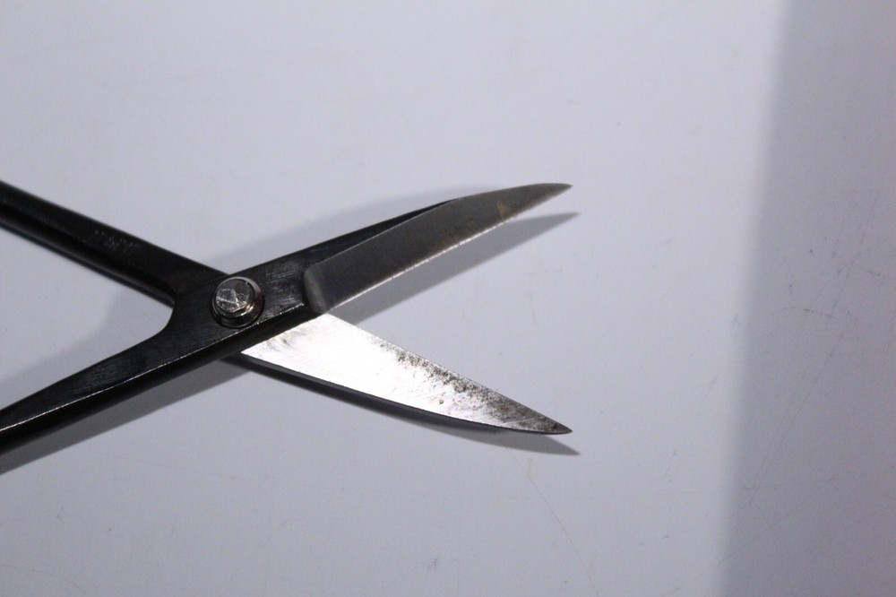 Bonsai gather bud shears