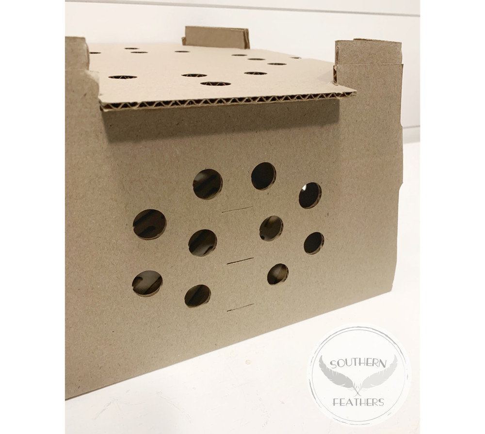 (10) High Quality Chick/Quail Shipping Boxes