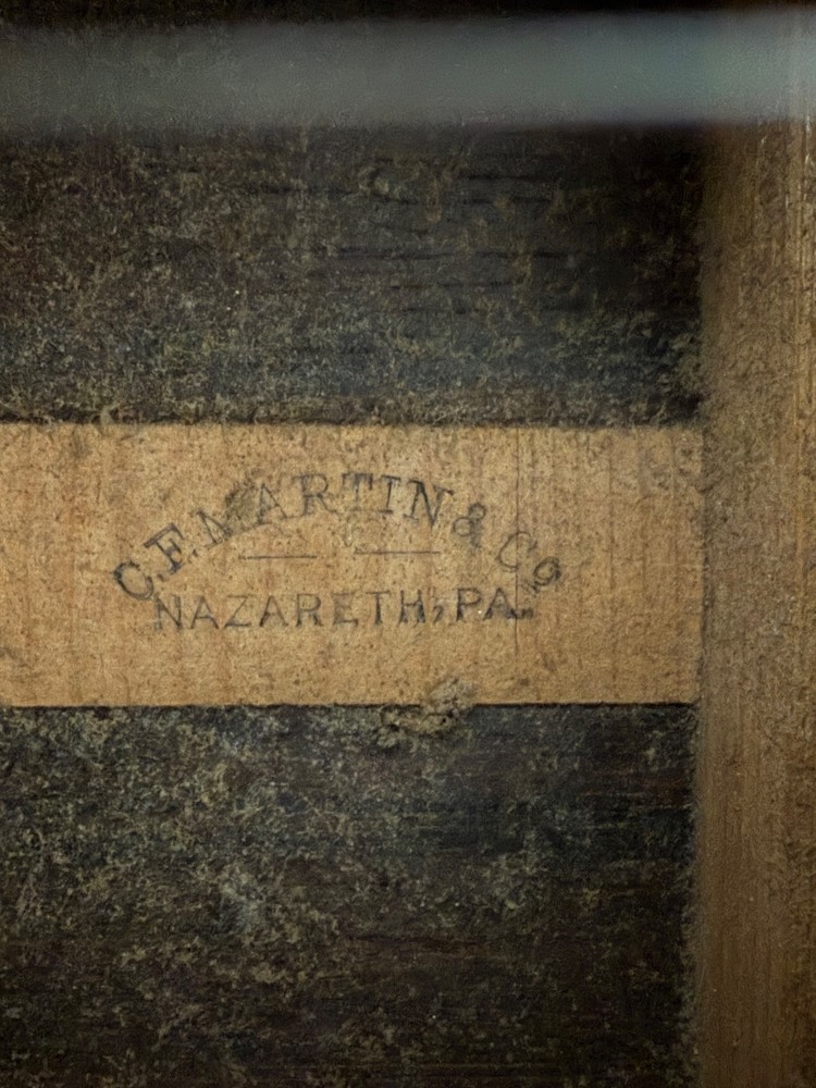 mandolins musical instrument a style