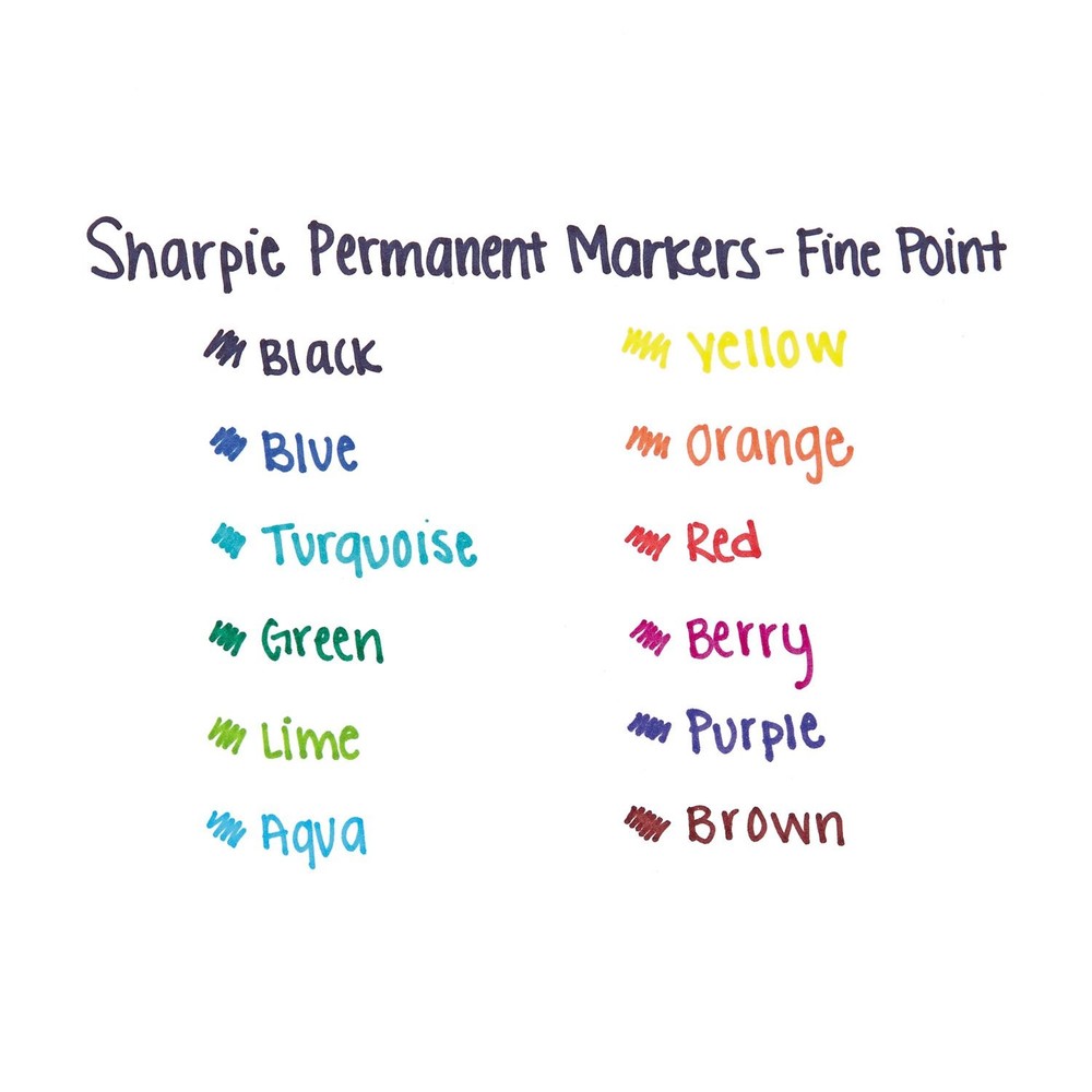 Pen FINE12CT MARKER SET, Multicolor 12 Count