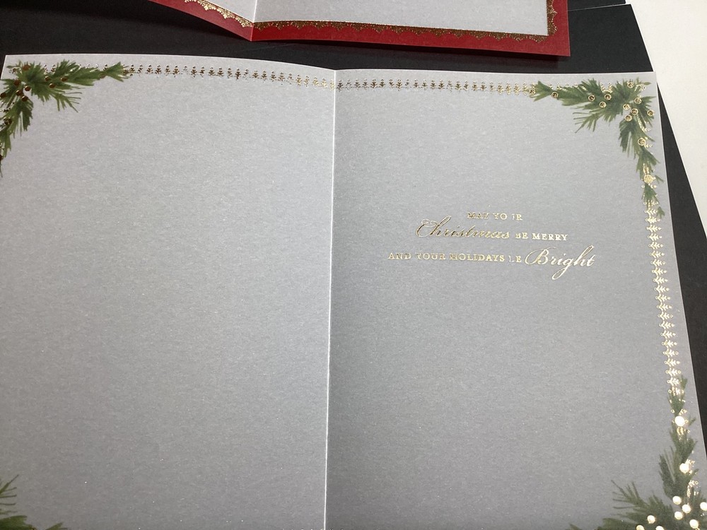 Anna Griffin Vellum Christmas Card Inserts 15pc