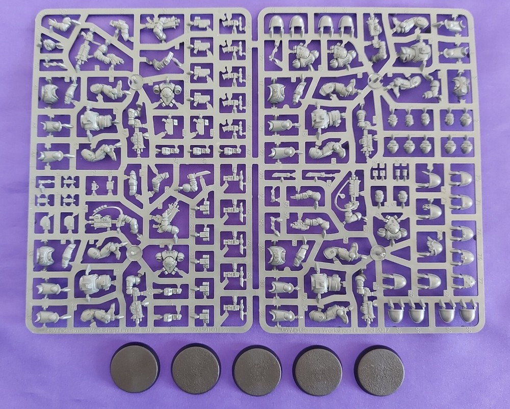 5 Primaris Intercessors (Squad), Warhammer 40K, NEW