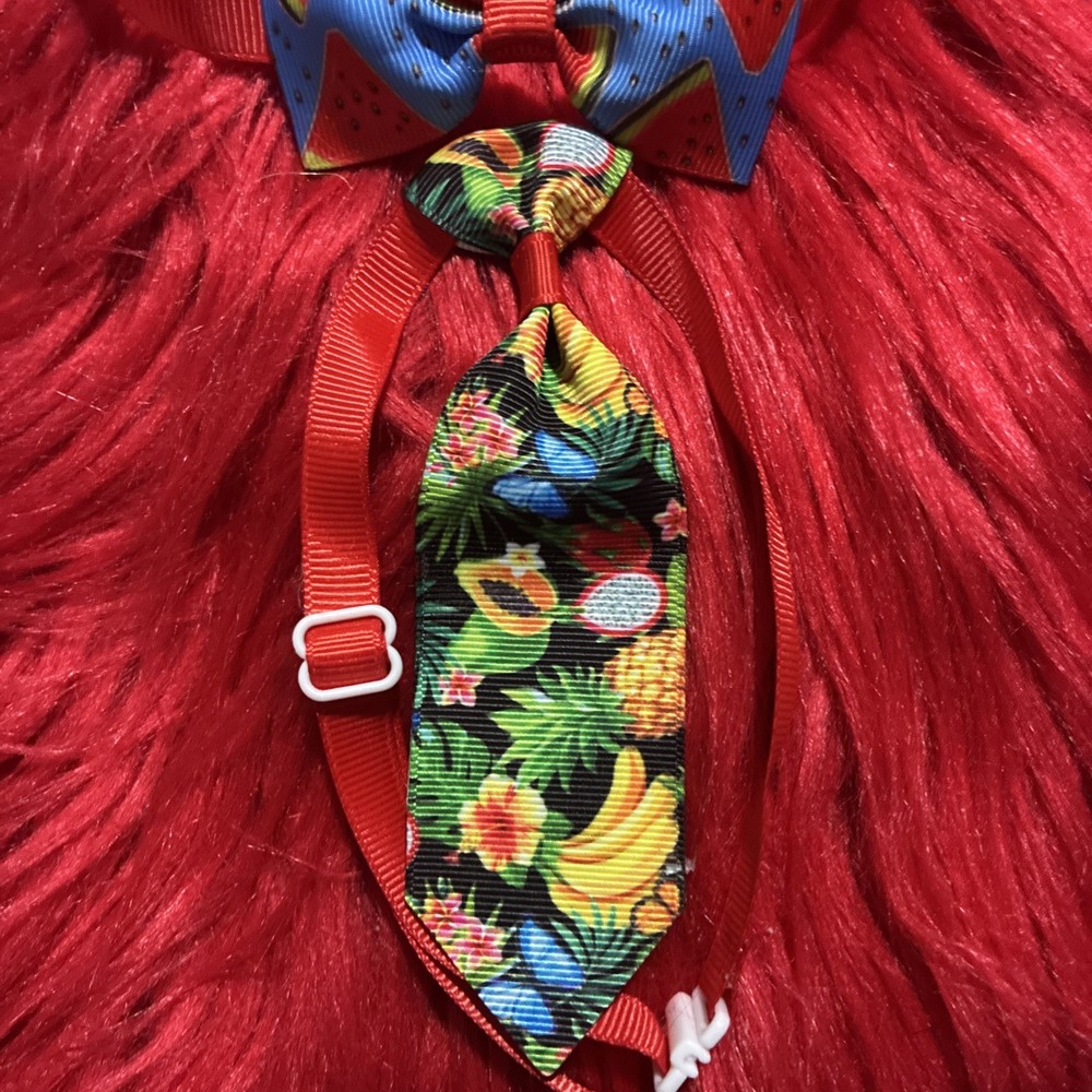 2 X Fruit Pattern, Cat Or Dog, Adjustable Bow & Tie Set. Homemade.