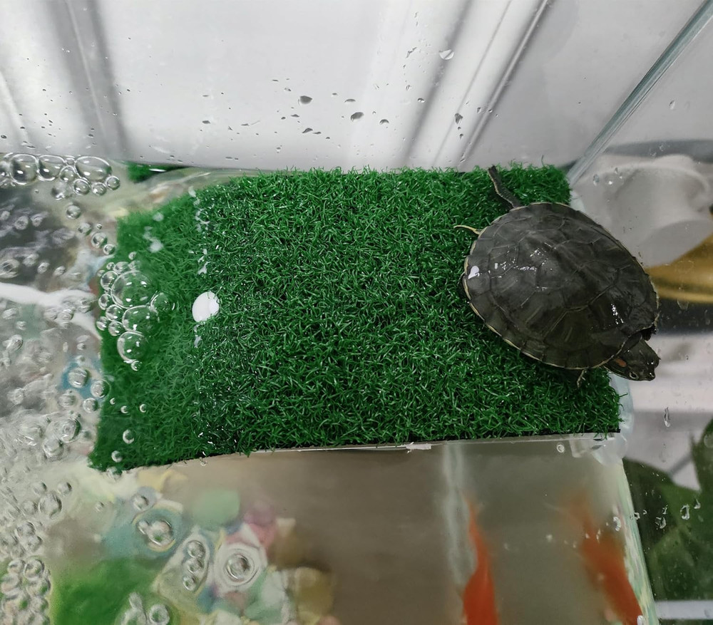 Turtle Resting Basking Platform, Simulation Grass Turtle Ramp, Tortoise Climb...