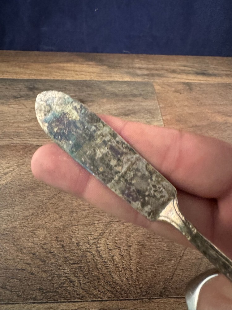 Master Butter Knife Wm Rogers & Son Exquisite Pattern Silverplated