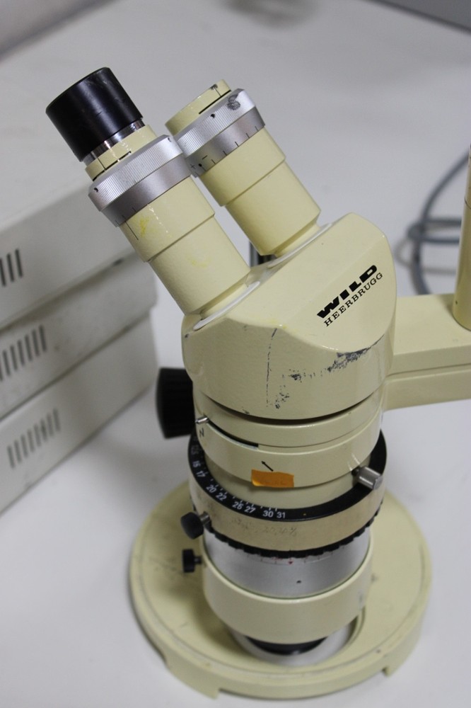 Wild Heerbrugg M7A Stereo Zoom Microscope