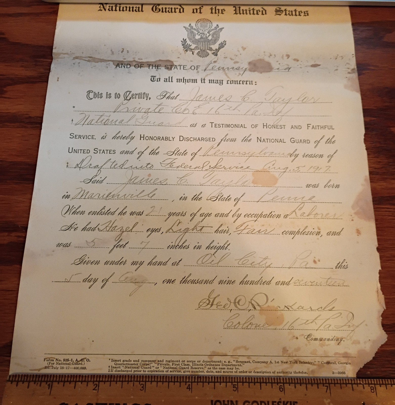 1917 US Army National Guard Honorable Discharge Certificate Marienville PA