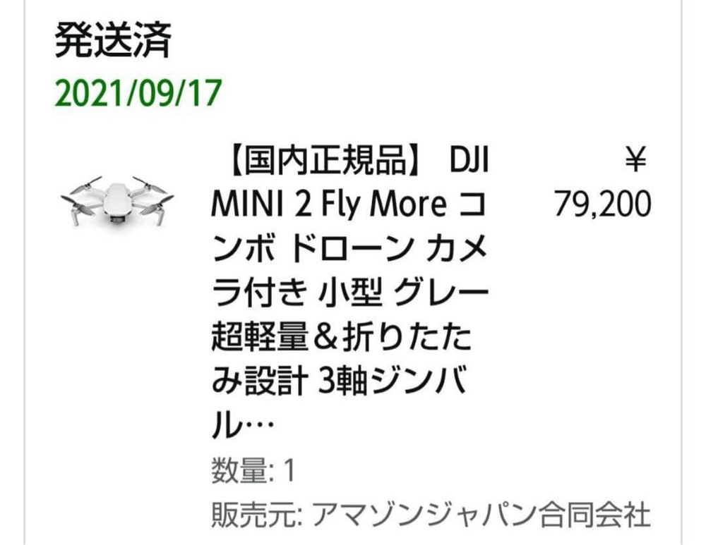 Dji Mini 2 Fly More Combo Drone With Camera Controller Portable Rc Quadcopter