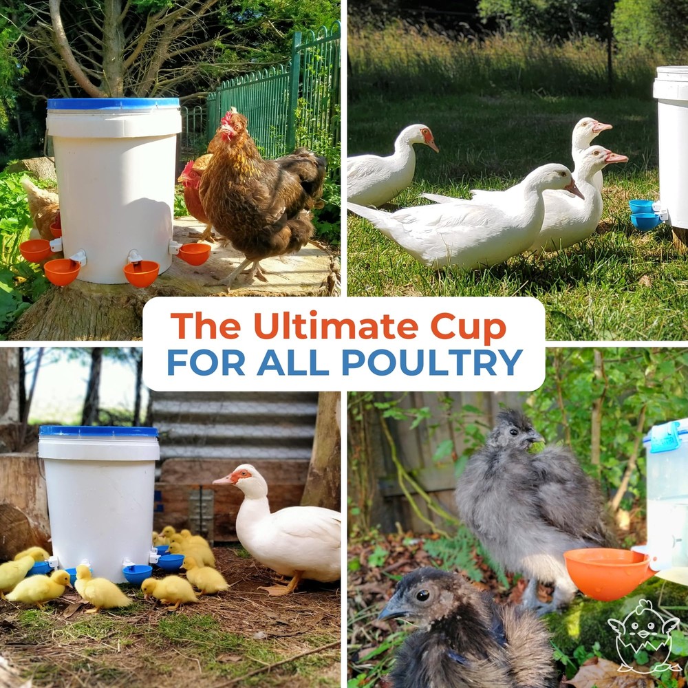 Lil Clucker - Blue Large Automatic Chicken Waterer Cups Suitable for Ducks, G...